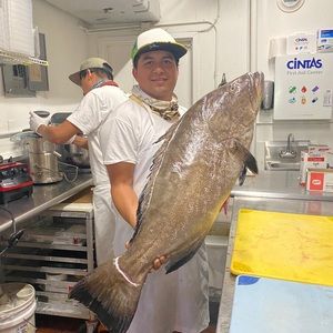 Meet your Posher, Marlon